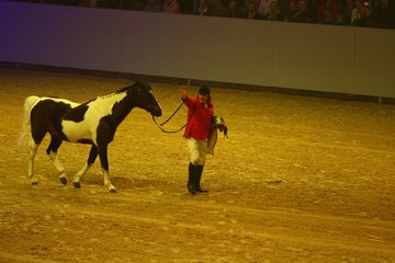 Bild 51 - Hansepferd Gala am 18.4.10